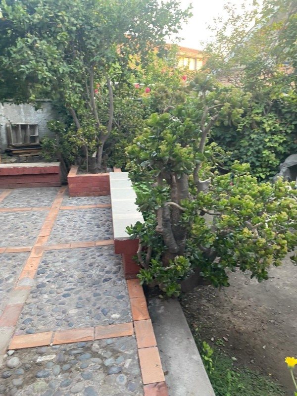 Foto 19