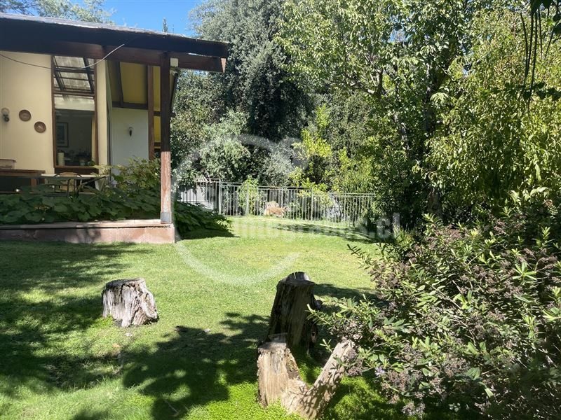 Foto 24