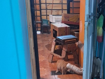 Patio con estacionamiento y espacio de almacenaje