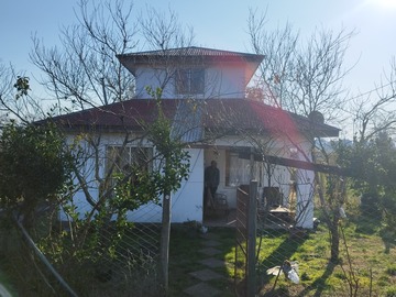 Frente