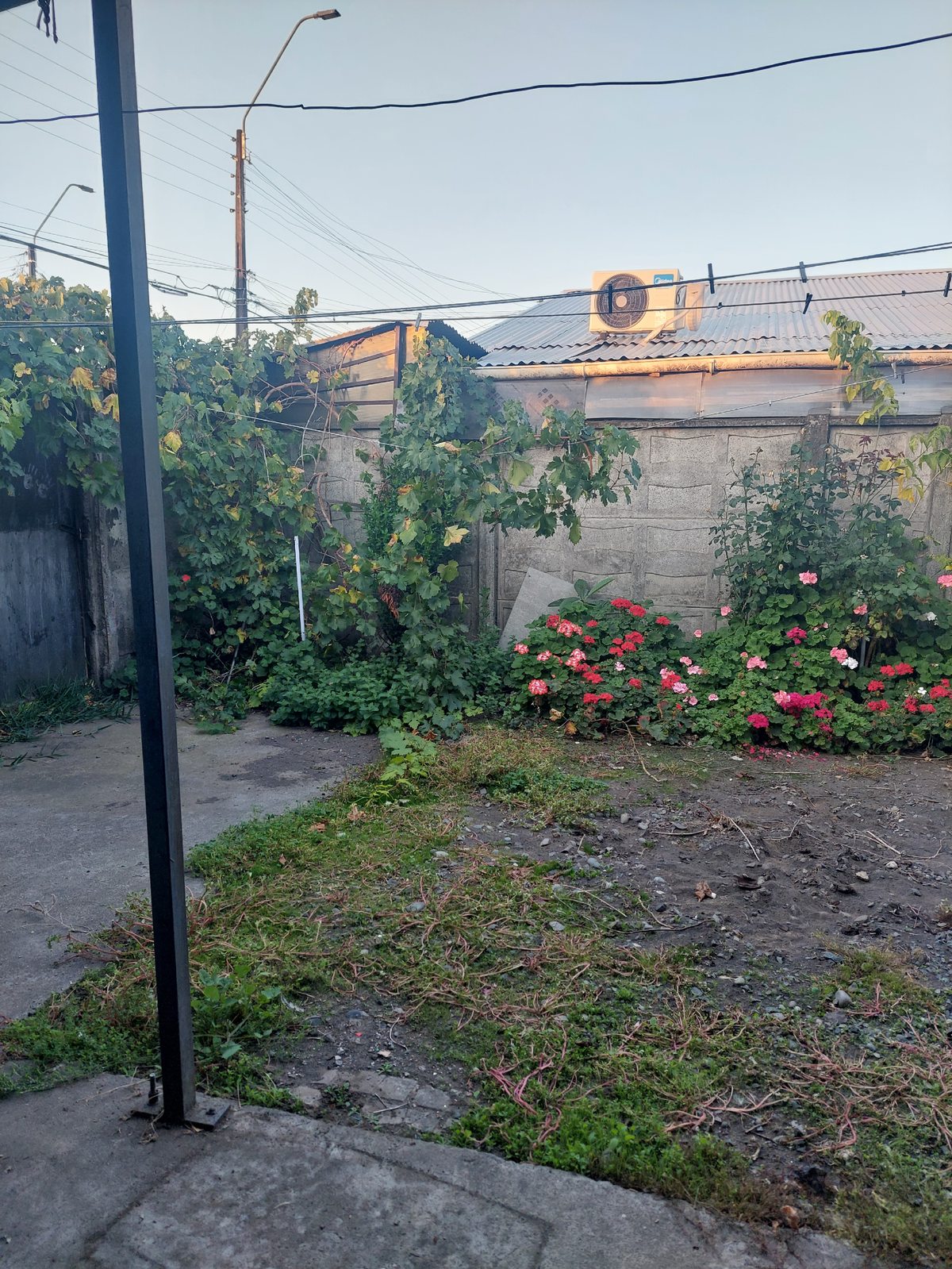 Foto 11