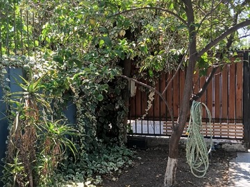Antejardín
