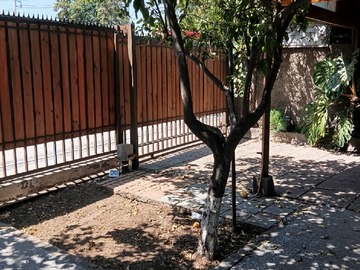Antejardín y portón vehiculo