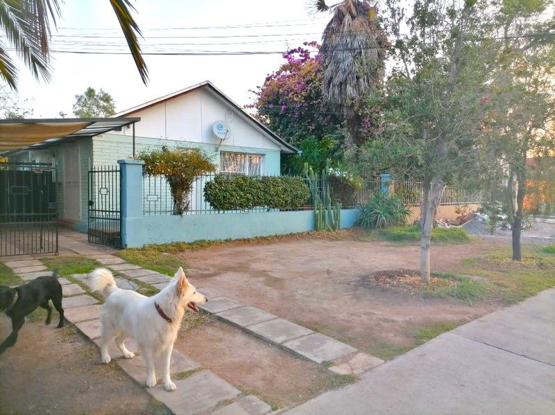Foto 2