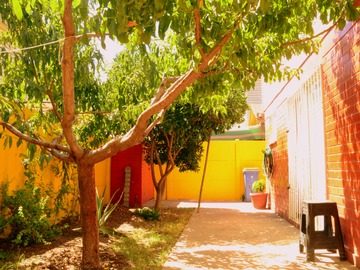 Patio trasero con frutales