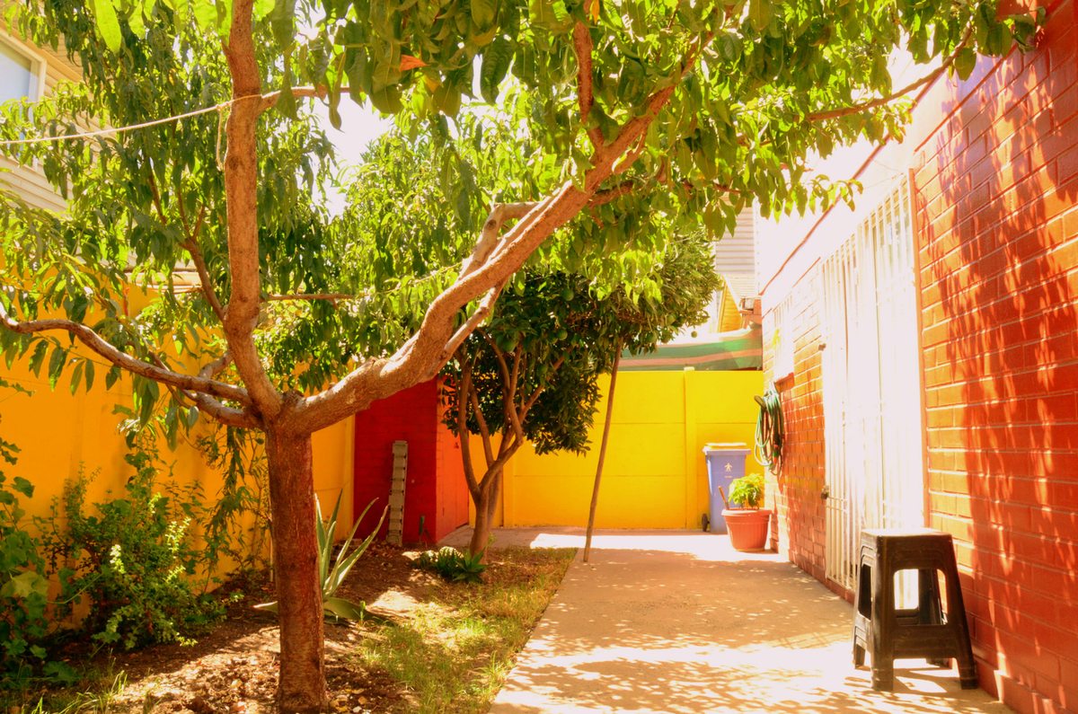 Patio trasero con frutales