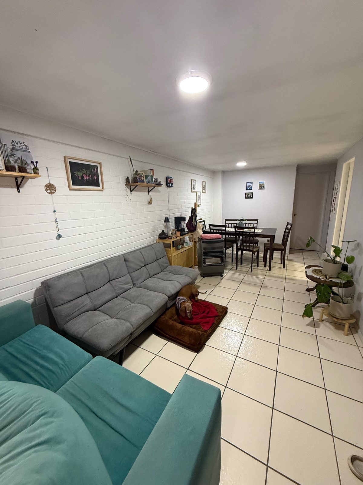 Foto 2