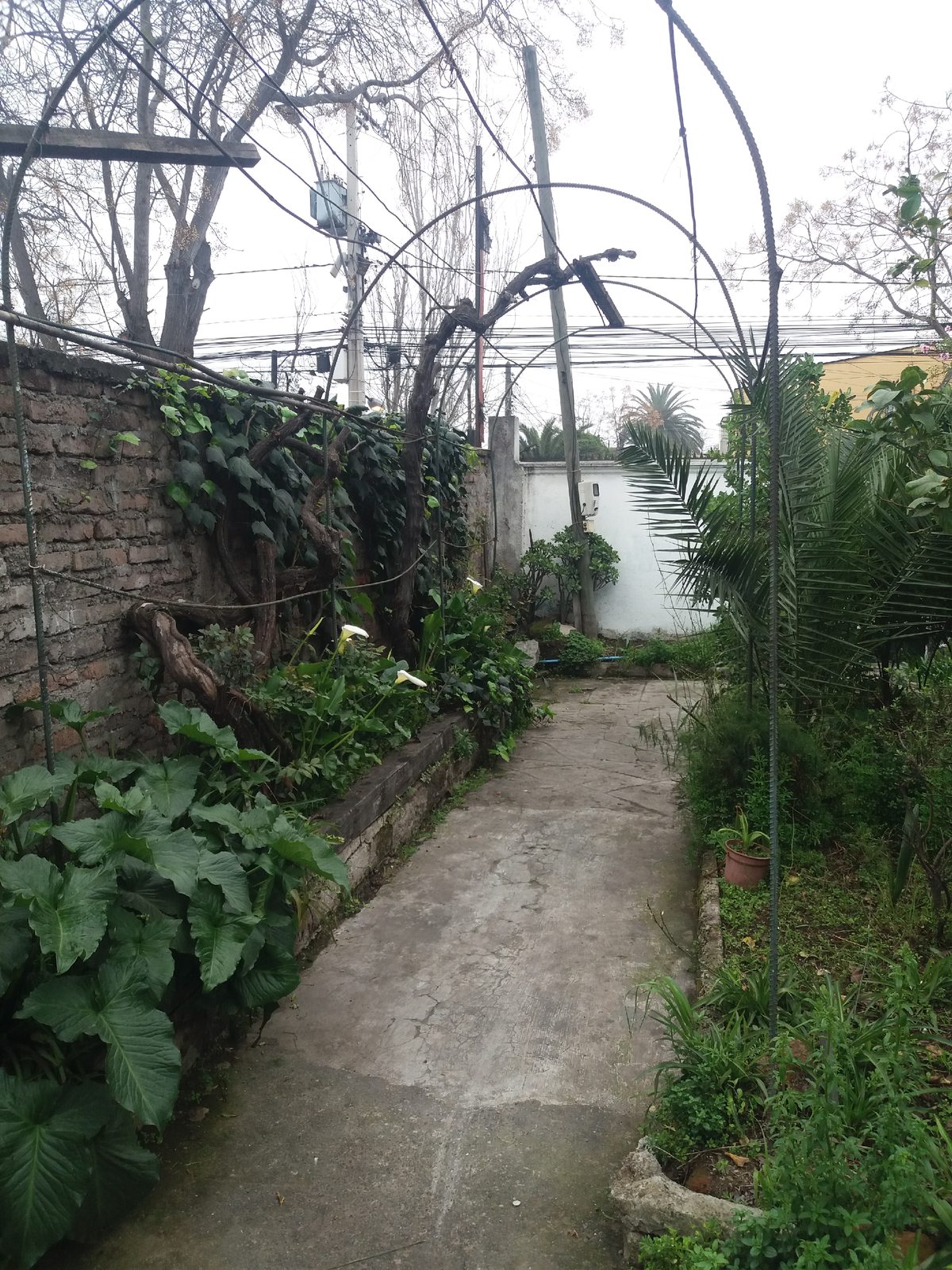 Foto 5