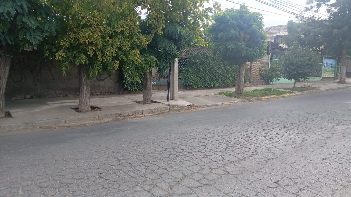 Foto 14