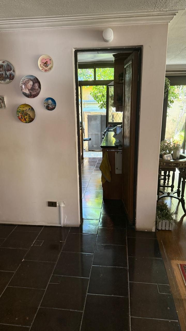 Foto 19