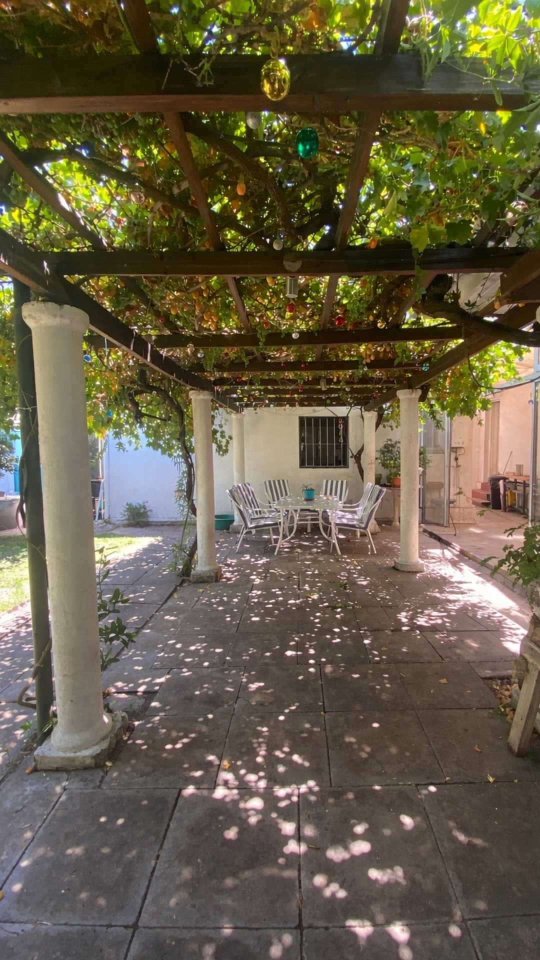 Foto 13