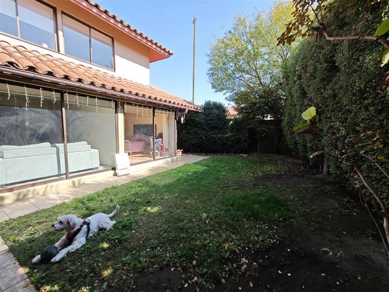 Foto 19