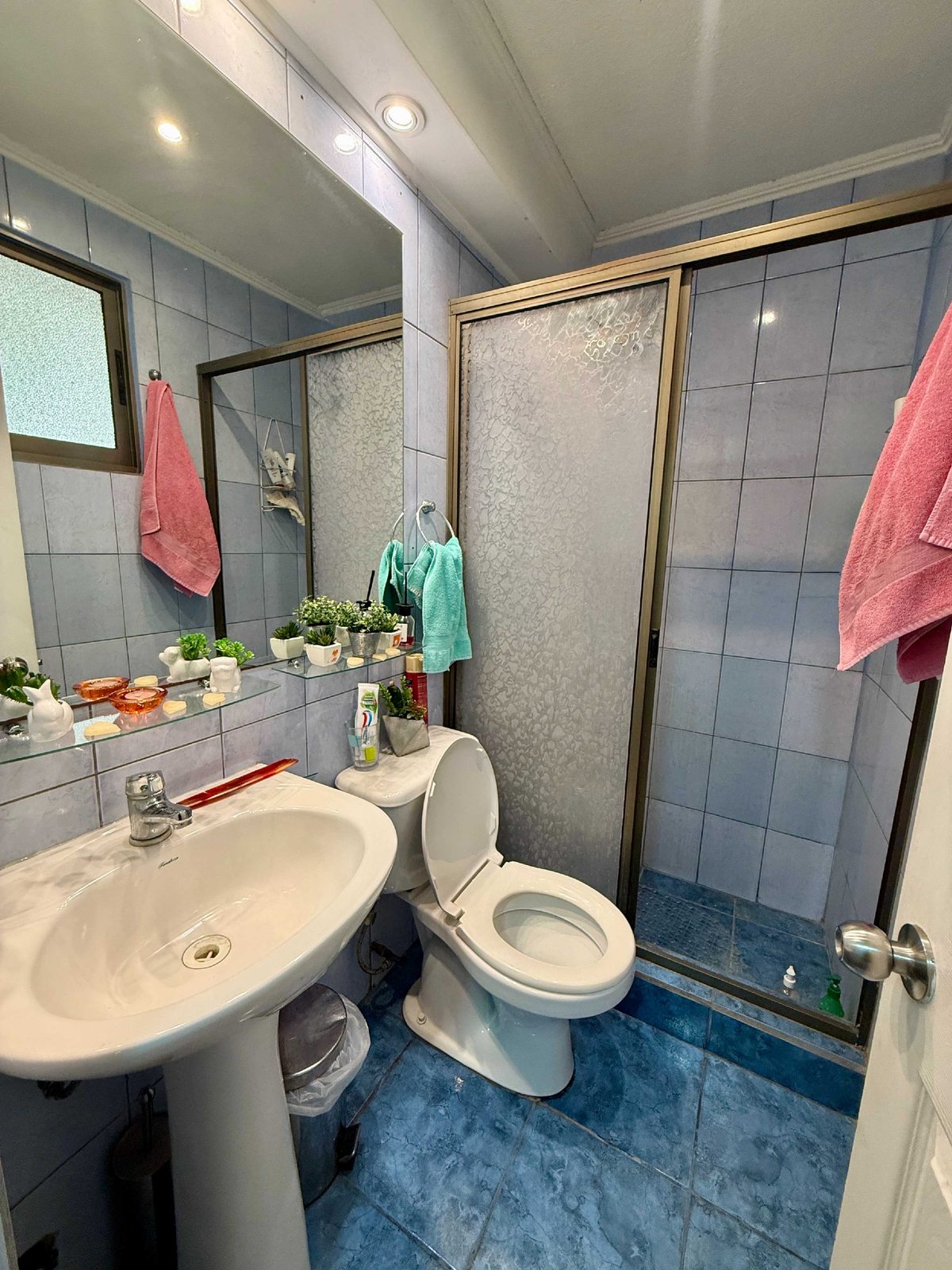 Foto 15