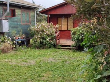 jardin