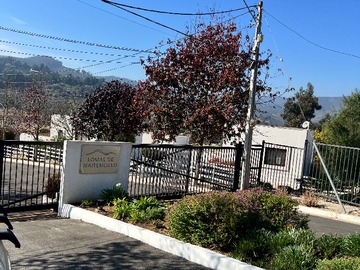 Lomas de maitencillo