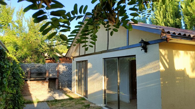 Patio trasero
