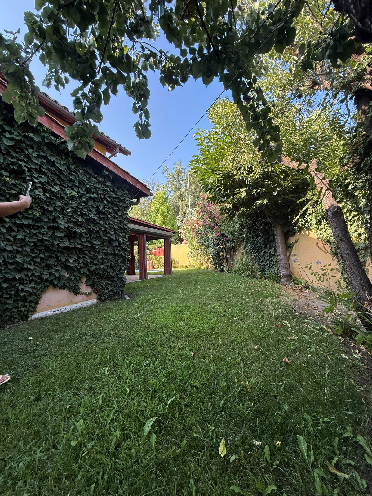 Foto 23