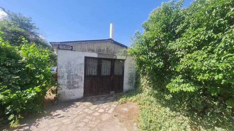 Foto 10