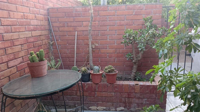 Foto 20