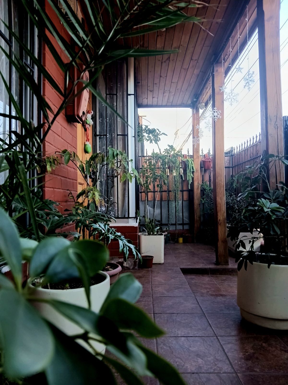 Foto 3