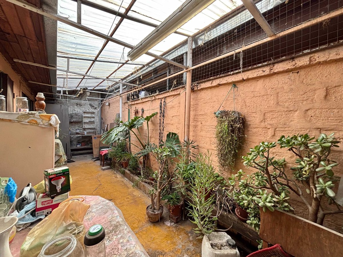 Foto 10