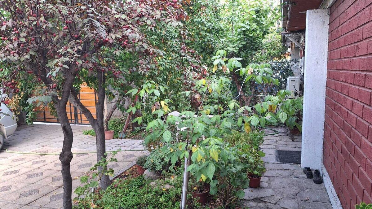Foto 7