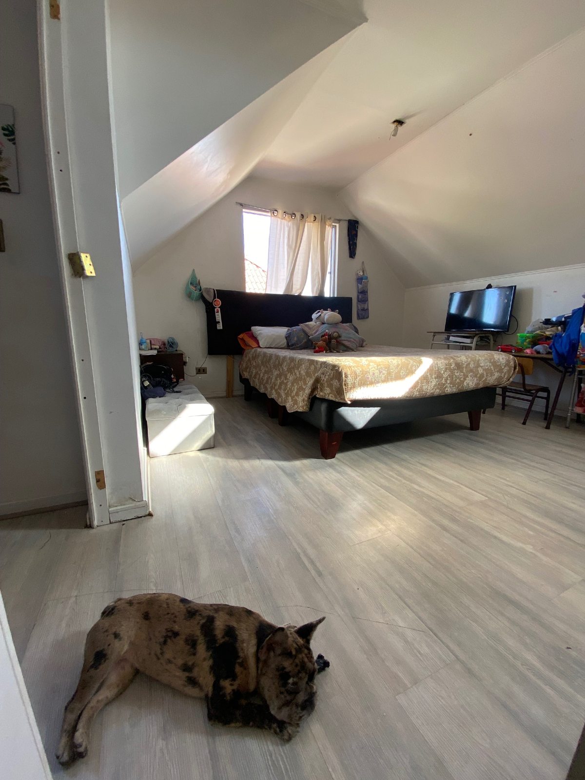 Foto 13