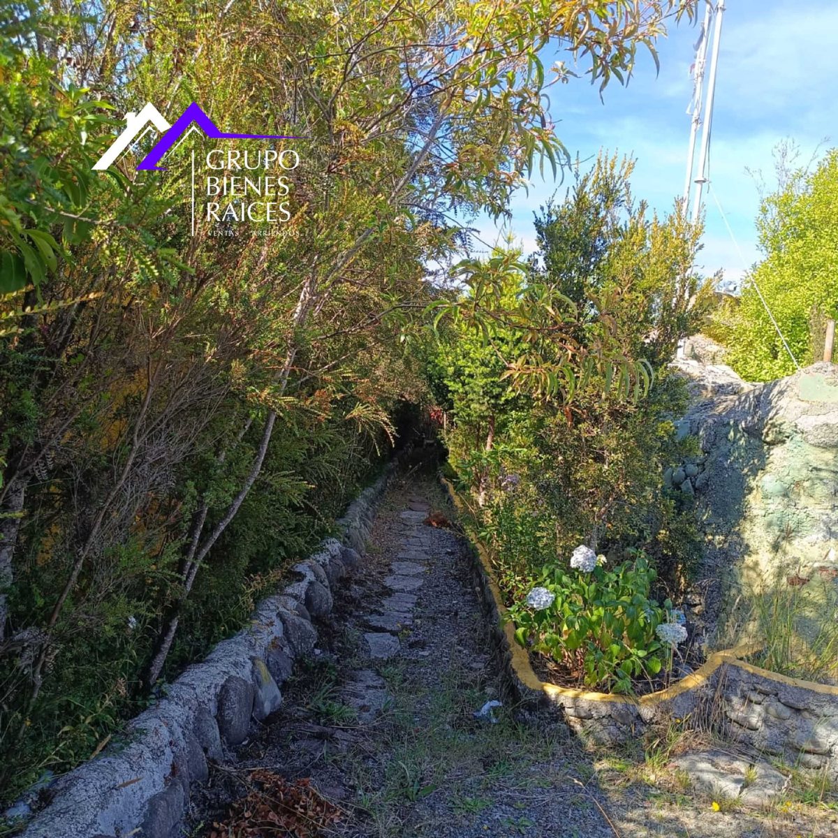 Foto 22