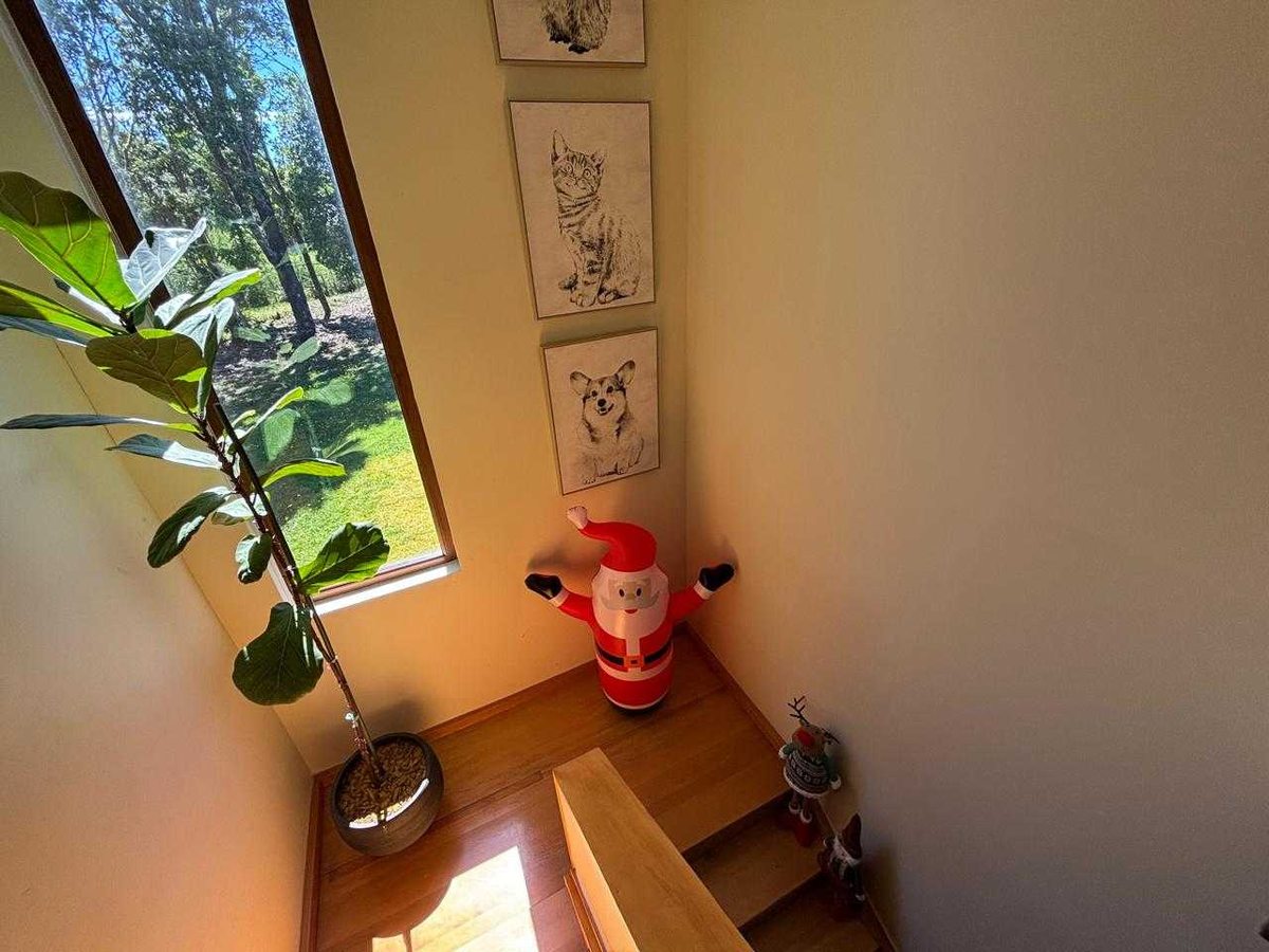 Foto 24