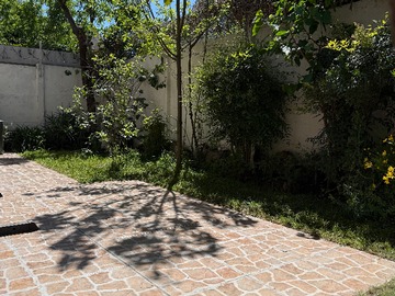 Patio trasero