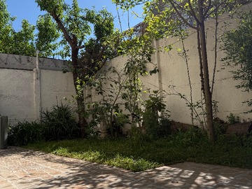 Patio Trasero