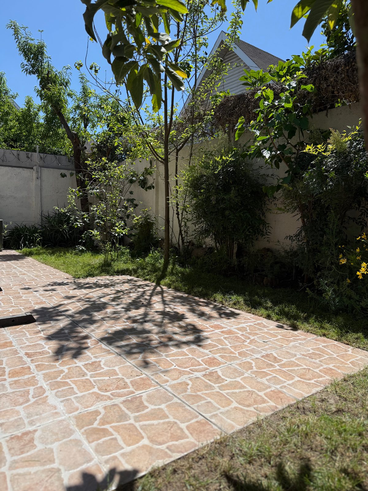 Patio trasero