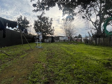 patio trasero