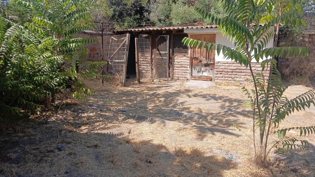 Foto 15