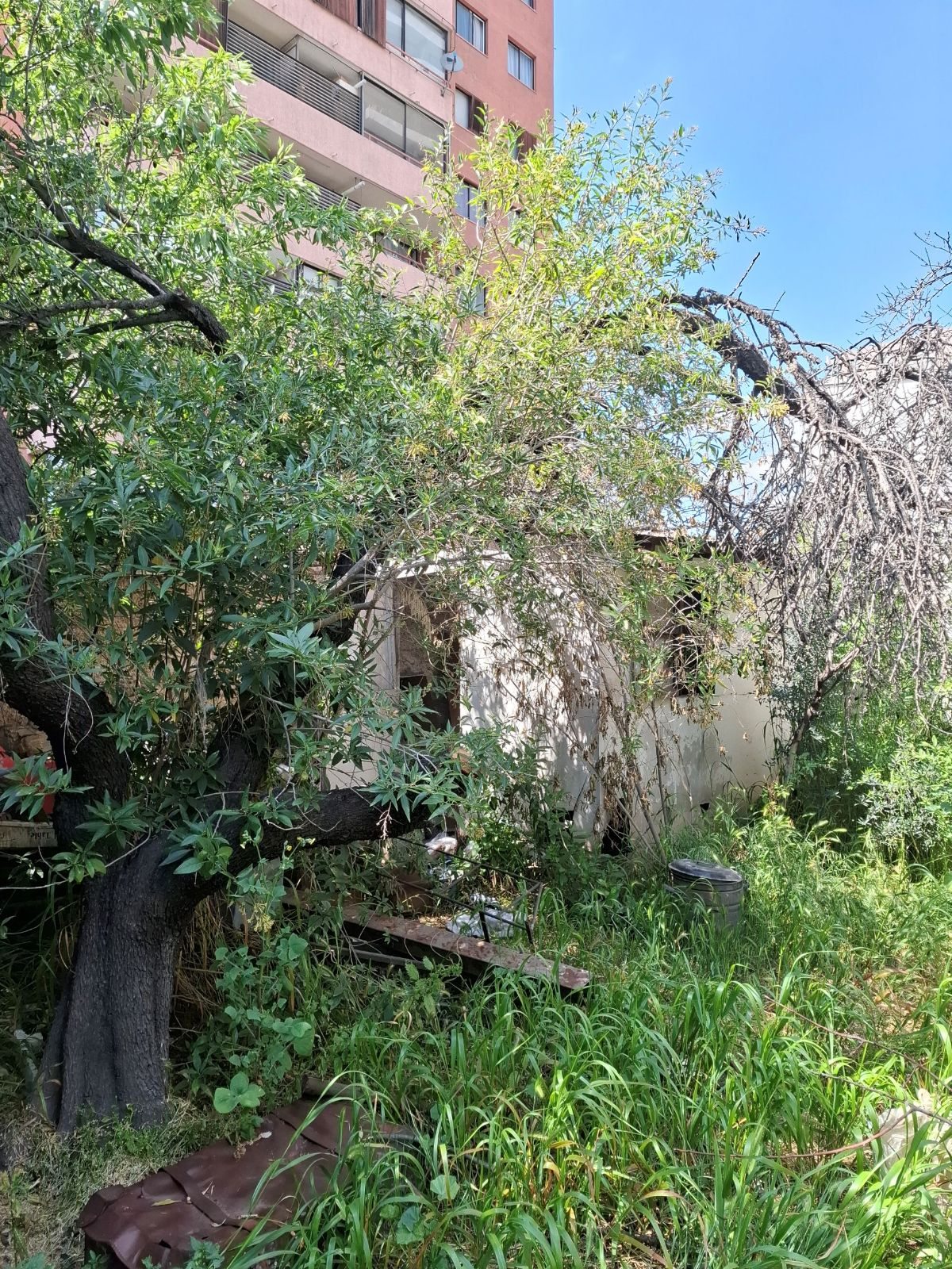 Foto 12