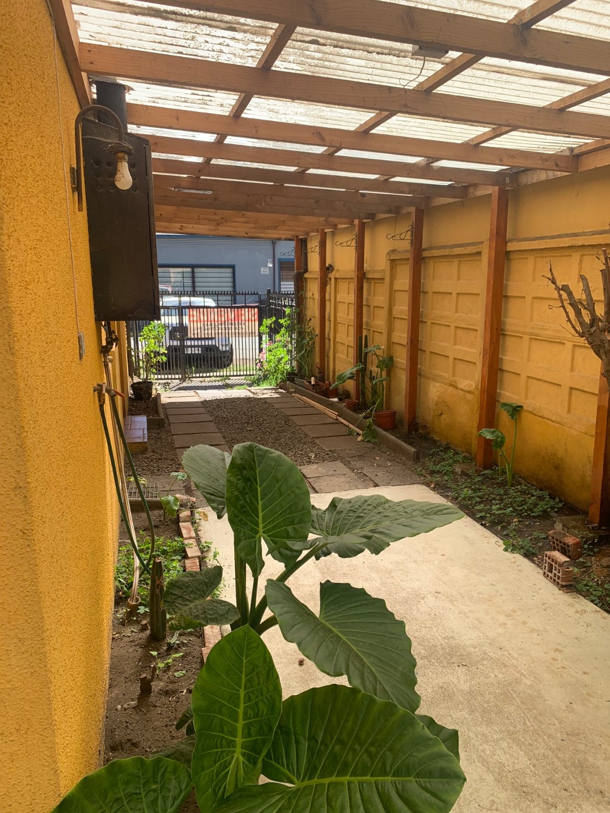 Foto 19