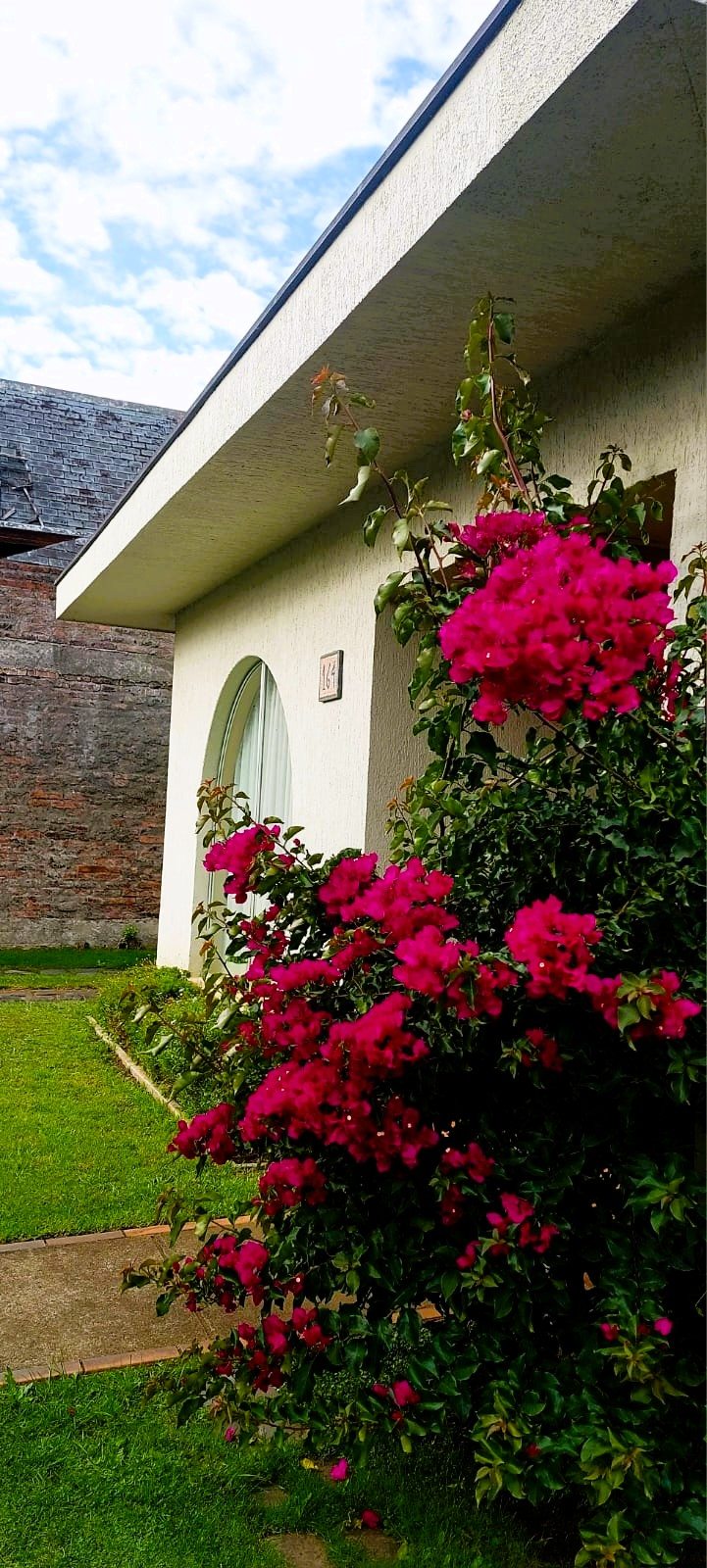 Casa en Venta en San Pedro de la Paz, Huertos Familiares, Los Claveles