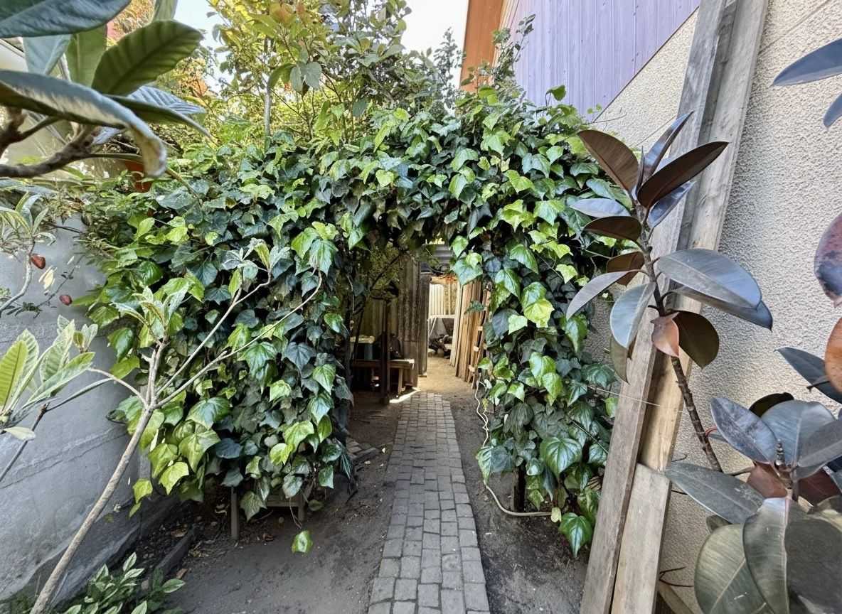 Foto 24