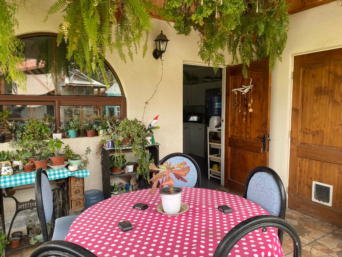Terraza Trasera Casa