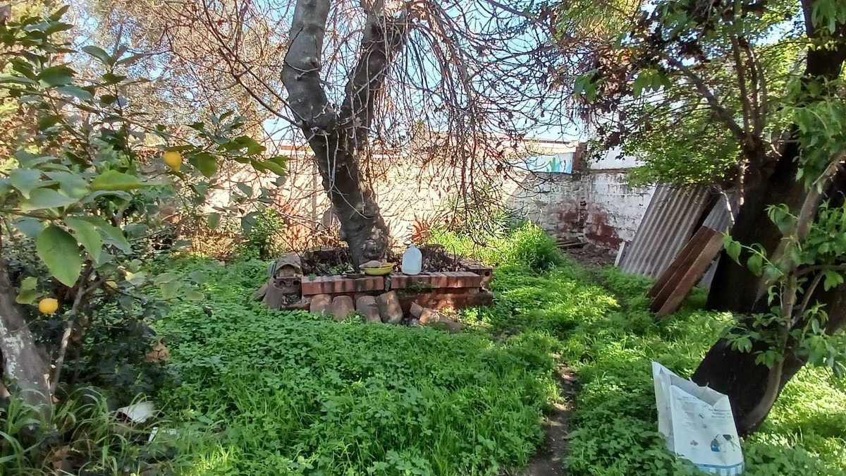 Foto 14