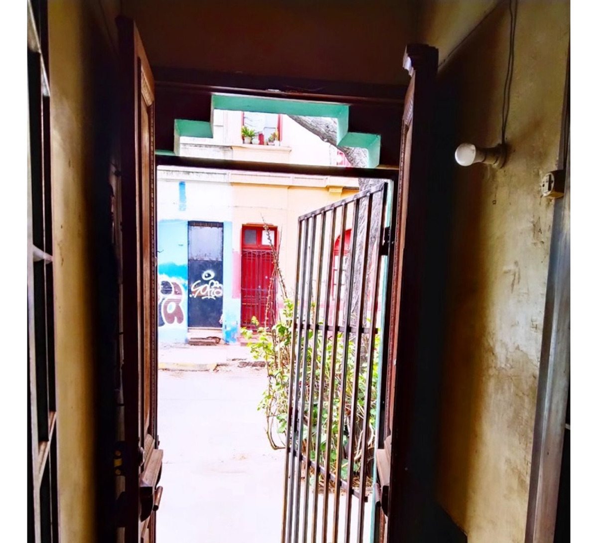Foto 6