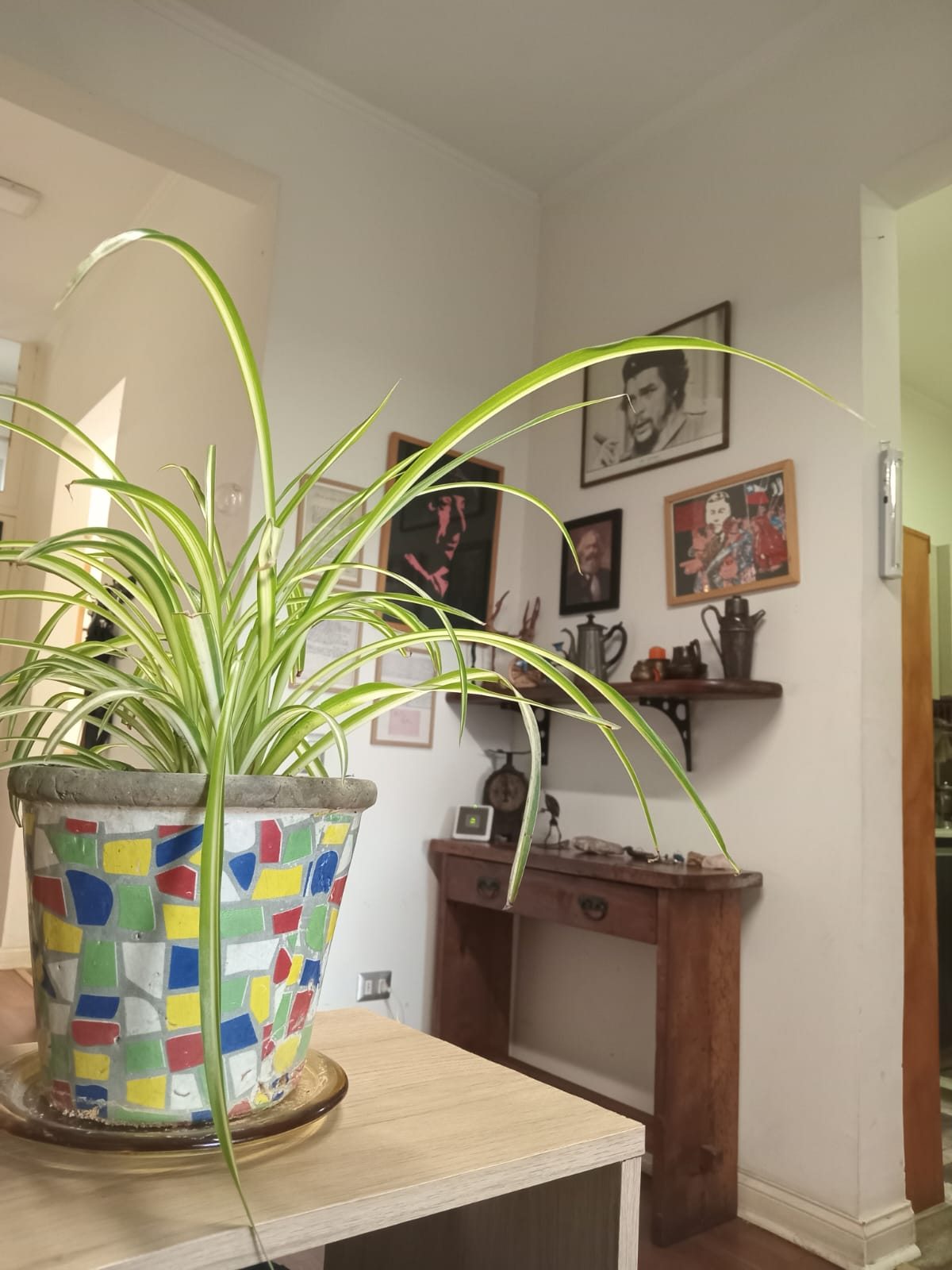 Foto 11