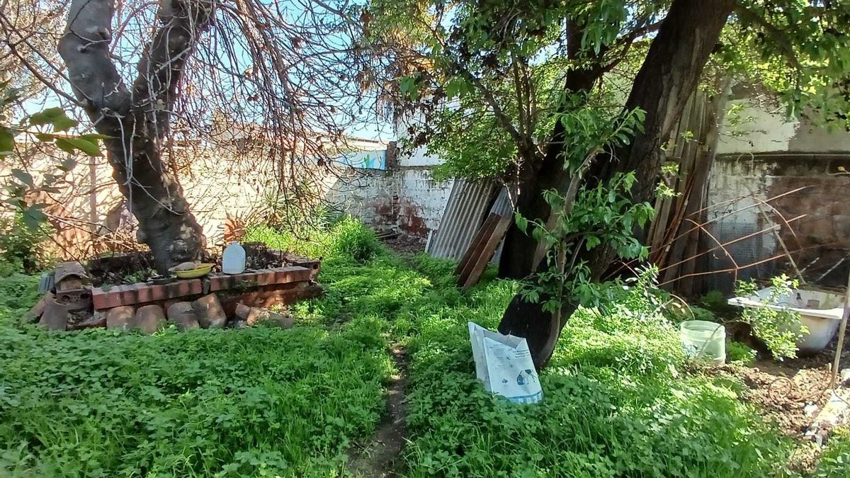 Foto 16