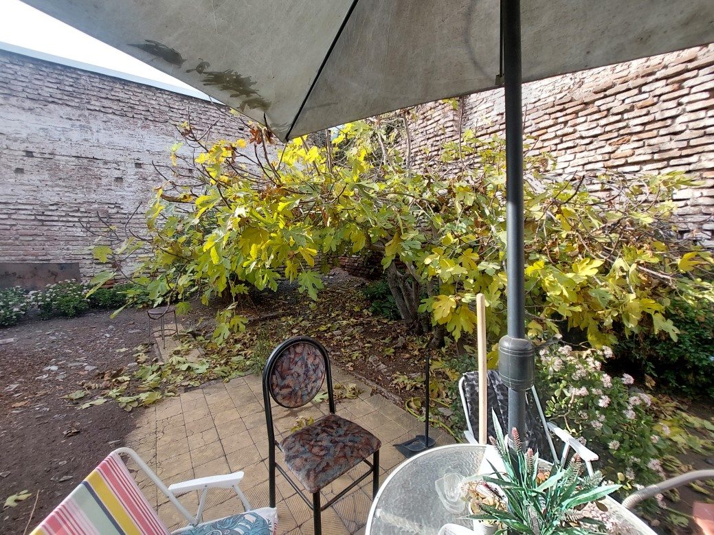 Foto 19
