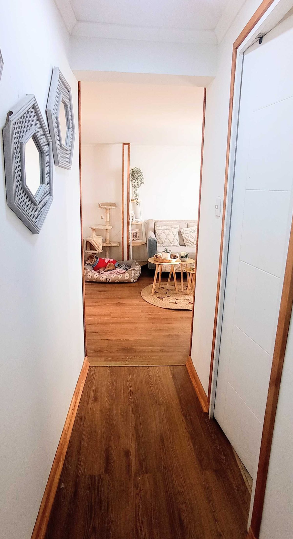 Foto 17