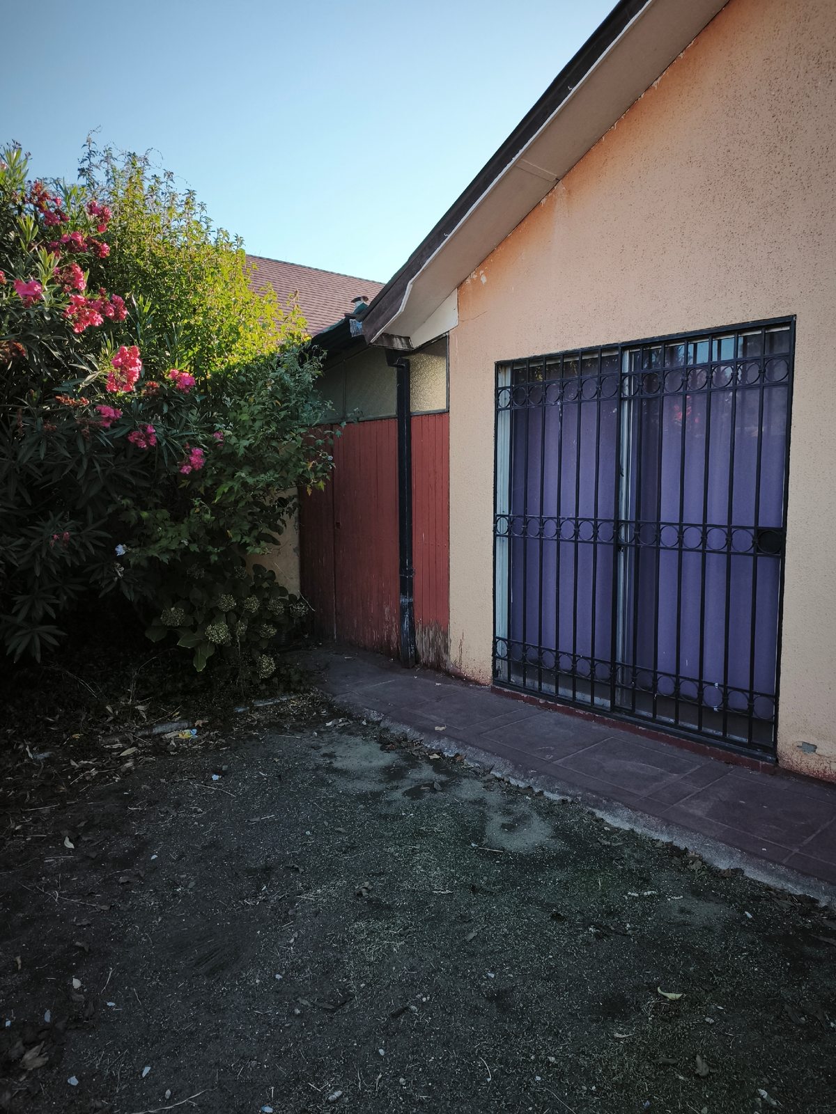 ante jardin
