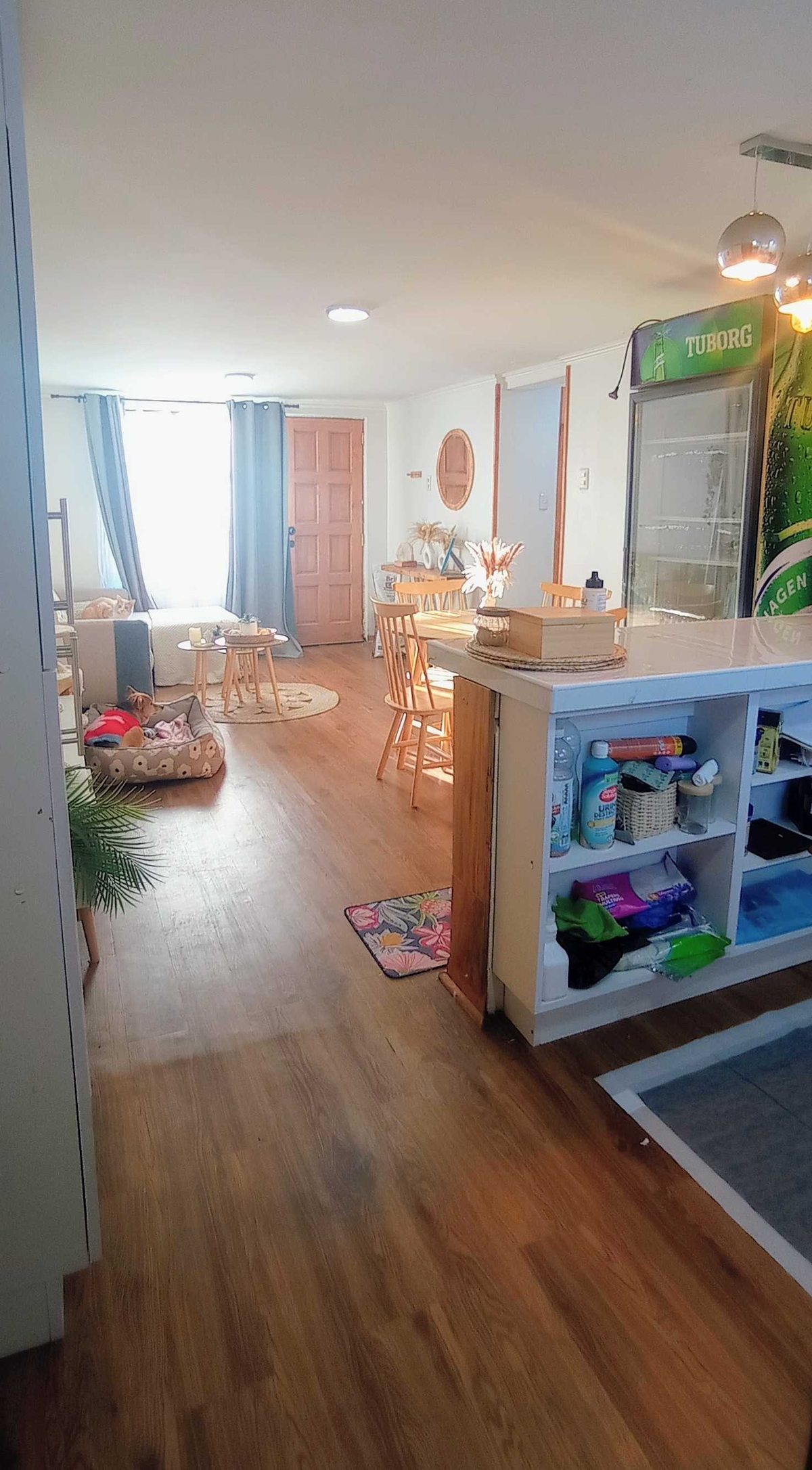 Foto 5