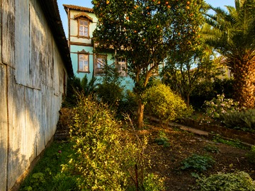 Jardín Frutal