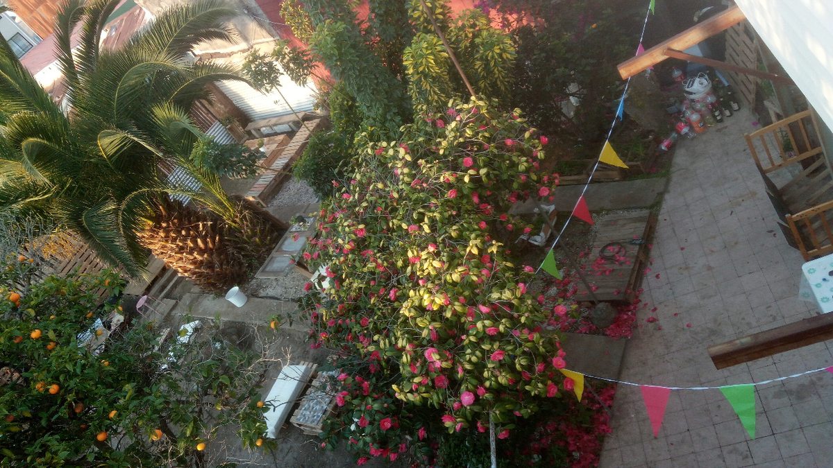 Foto 10