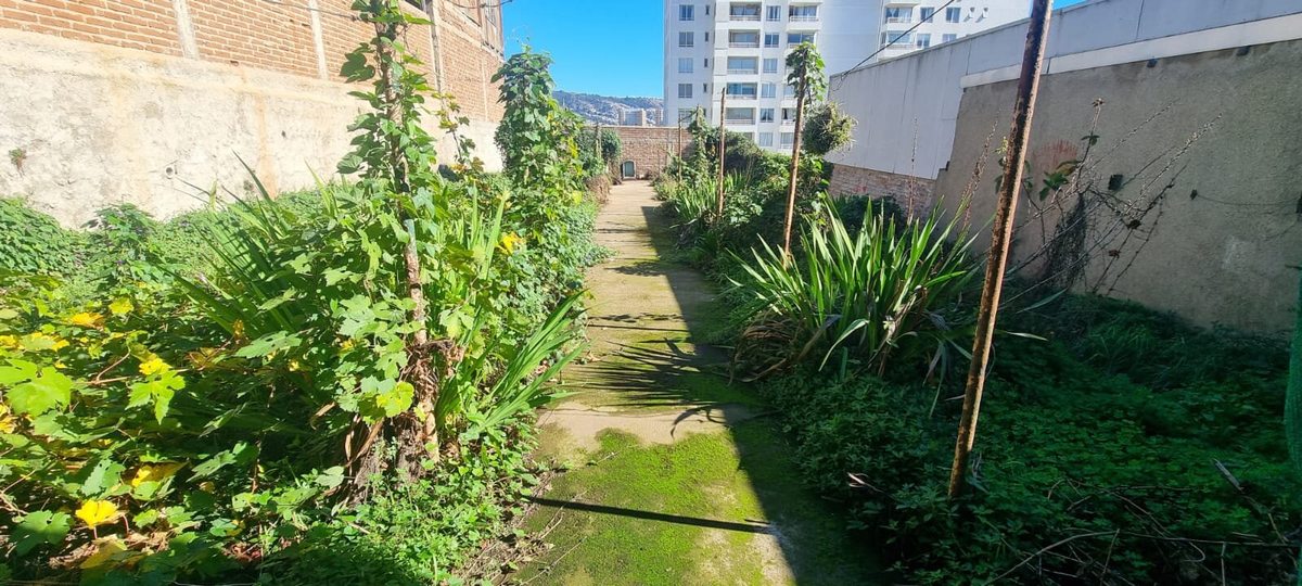 Foto 16